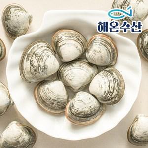 [해온수산] 자연산 동죽조개 50-80미 1kg