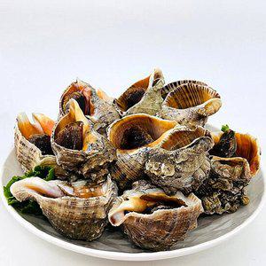 [미네픽] (푸드) 당일 조업 연평 참소라 1kg