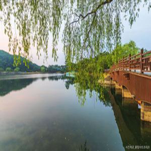 [당일][제천] 제천으로 떠나는 풍경여행 / 의림지+내토시장+청풍문화유산단지+핫플카페+배론성지 국내 추천 가족 주말 당일 힐링