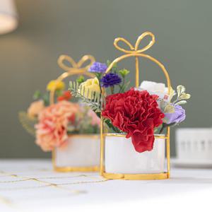 AN24_햇살 카네이션 화분 set 20cm (2컬러) 인테리어 조화 어버이날 스승의날 선물