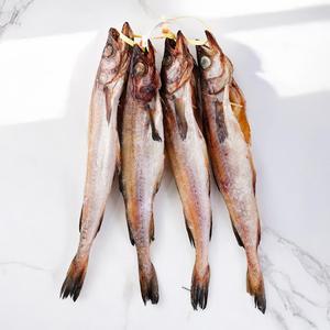 명태 코다리(대) 1코(4미)