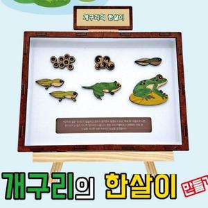 [XBG77444_47]개구리의 한살이 만들기학습용 브로마이드 제공