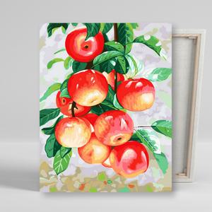 아이러브페인팅 DIY캔버스형 그림그리기 40x50cm 싱그러운 홍사과