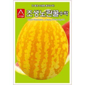아시아종묘 씨앗 수박 조생노란꿀 10립