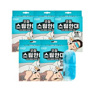 굿잠 수면 스팀안대 10개입 5박스
