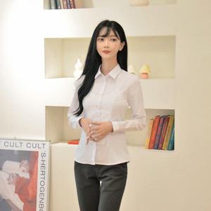 교복몰 프리미엄 여성 각카라 교복셔츠 빨강체크 교복여자교복 교복블라우스 여자교복셔츠 교복 교복셔츠 교복쇼핑몰 예쁜교복 학생셔츠 여고교복 여학생교복 고등학교교복 중학생교복 중학교교복