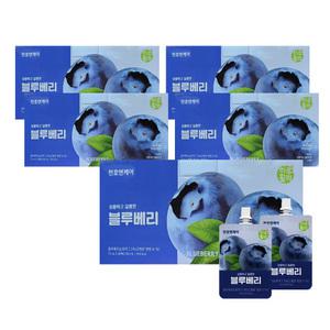 천호엔케어 블루베리 즙 농축액 캘리포니아산 70ml 30포 5박스 안토시아닌 GT