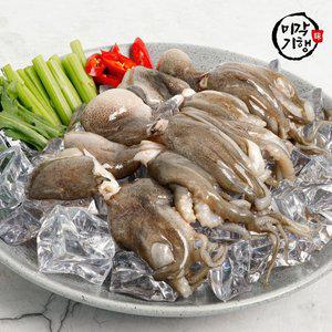 [미각기행] 손질 통 왕쭈꾸미 10미(700g 내외)