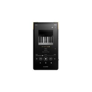 소니 워크맨 NW-ZX707 64GB DAP 오디오 플레이어