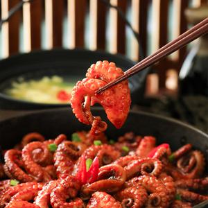 [광림상회] 당일생산 초신선 냉장 양념 쭈꾸미 볶음 보통맛 500g+500g+500g+500g
