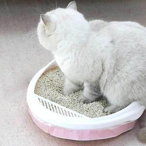 [JHQS9PKC_52CM]고양이배변봉투 냥이화장실 냥덕후