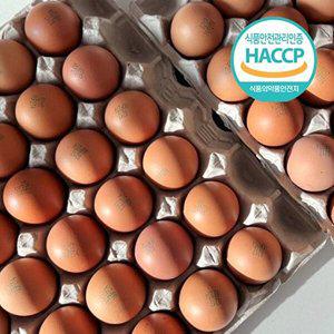 [명가일품]HACCP인증 저온숙성 국내산 구운계란(대란) 60구