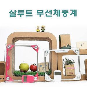 살루트 키세스 무선 전자 디지털 체중기 체중계 미니 리모콘 가정용uvw822