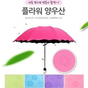 비오면 벗꽃이 플라워 암막 양우산 자외선차단 미니양산 우산