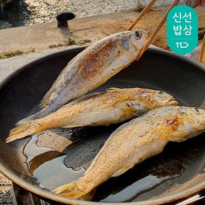 [품질보장] 영광 법성포 참조기 굴비 가정용 장대 1.4kg(20마리)