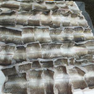 하모회 갯장어회 하모샤브샤브 1kg 자연산 유비끼 손질 봄여름 건강보양식