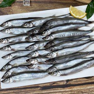 열빙어 시사모 1kg