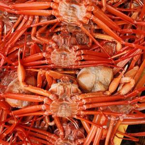 싱싱햇 포항 자숙 홍게 구룡포 박달 홍개 3kg 9-12미 내외