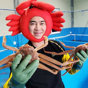 [푸드랍] 선주직송 포항 구룡포 일반형 홍게 9-11마리 3kg (자숙찜)
