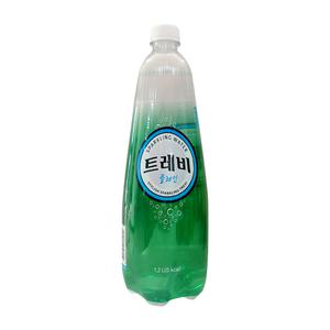 트레비 플레인 1.2L