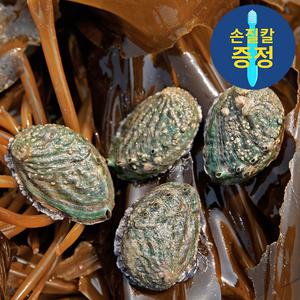 큰전복 8-9미 1kg(8-9마리)