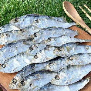 국산 햇 국물용 디포리 (상급) 300g 500g 1kg 1.5kg / 국내산 육수용 밴댕이 국물요리 건 마른 다시 멸치