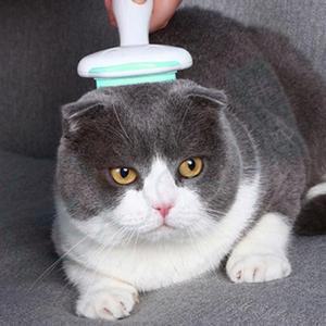 [OFM817S1]티티펫 고양이 다용도 털관리 브러쉬 민트