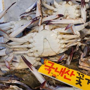 싱싱햇 서해안 급냉 냉동 꽃게 숫꽃게 국산 꽂게 1kg