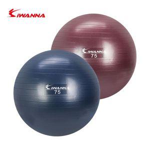 홈트 안티버스트 짐볼 75cm 1P 전신운동 스트레칭