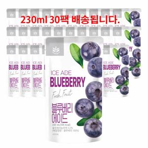 블루베리 안토시아닌 BLUEBERRY 즙 주스 에이드 쥬스