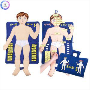 h74 4541 헝겊책 신비한 우리의 몸아기놀이 우리학습 교구 인형 장난감 어린이