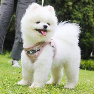 애견 강아지하네스 XS 포함 가슴줄 핑크 리드줄 산책용