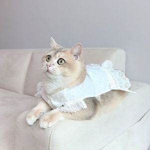 고양이 옷 레이스 실내복 뷔스티에 3size강아지패션 애견 모자 코스튬 펫소품 홈파 의상 반려용품 파용품