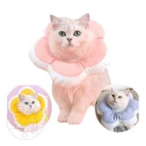 오공일 키티요요 넥카라 M 고양이넥카라