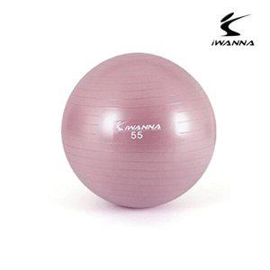 [베프몰]아이워너 PXPDCMTG 55cm 핑크 안티버스트 와일드 짐볼