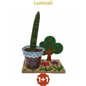1+1 만들기 스투키나무 화분받침 mk