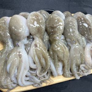 냉동 활 쭈꾸미 주꾸미 1kg