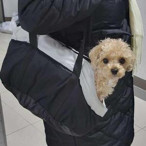 강아지 고양이 쿠션 사계절 이동가방 외출
