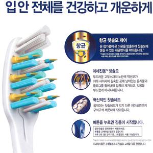 오랄비- 펄사 전동칫솔1개 배터리진동형 /미세진동
