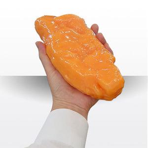 보급형 지방모형(1kg) 다이어트 교육모형