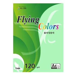 플라잉칼라 A4 120g 20매 E25 어린풀색 (색지 색상지