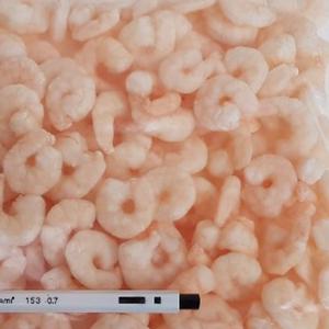 냉동 자숙 새우살(탈각 자숙 새우살) 200gr 팩