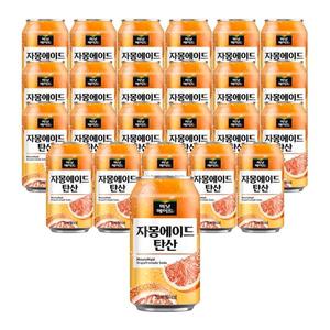 미닛메이드 자몽에이드 탄산 350ml 24개