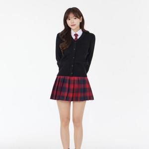 [JHP9SOQ9_51IB]A라인 여자스커트 체크 교복 치마 유니폼