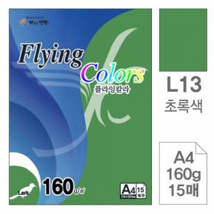 삼원 A4색지 복사용지 프린터용지 플라잉칼라 160g 15매 초록색