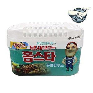 냉장고 탈취제 유칼립투스 환기 강화 냄새 제거 (WFH975T)