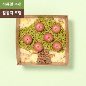 요리하는떡카소 사과나무  꼴라주 크림 떡 만들기 1인 키트 식목일 활동지 포함 어린이 초등 방과후 돌봄 교육기관 추천  