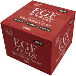 재팬 걸즈 업무용 EGF 마스크 DX 40장입 BOX 타입