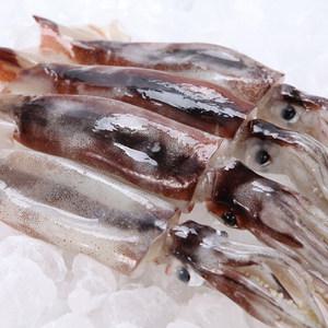 [푸드조아] 구룡포 손질 통오징어 260g(2미) x 3팩 총 6미