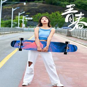 성인 스케이트보드 입문용 초보 LED 서프스케이트보드 보드 서핑연습 디자인 댄싱